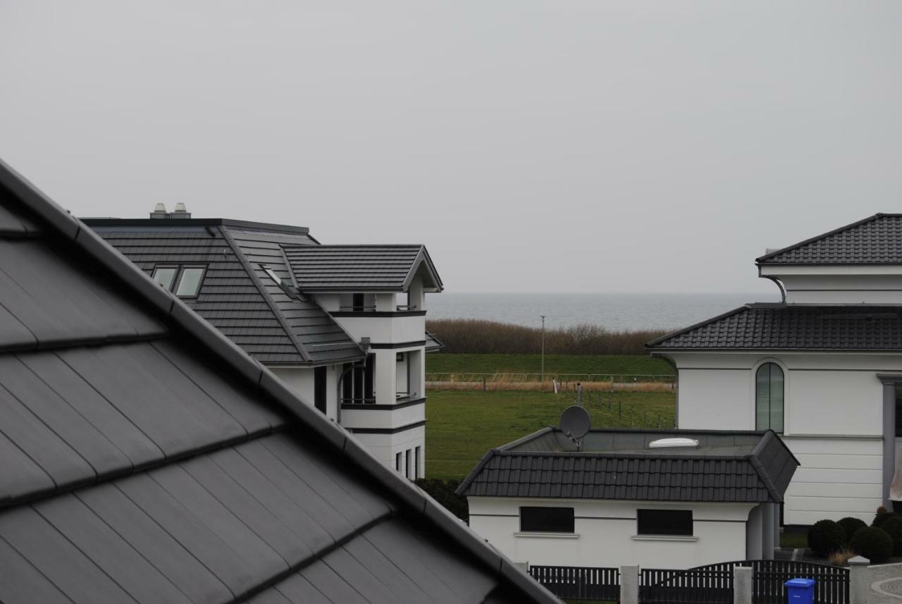 Duenenrose 7 Boergerende-Rethwisch